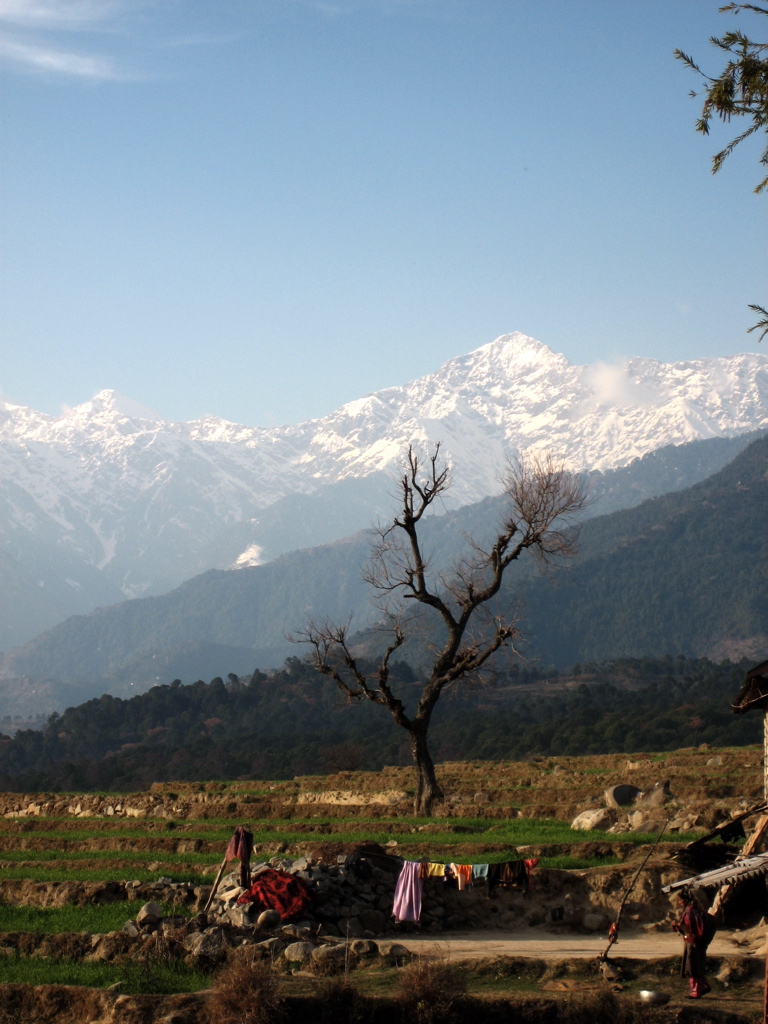 Fields and trees below mountains near Bir Tibetan colony