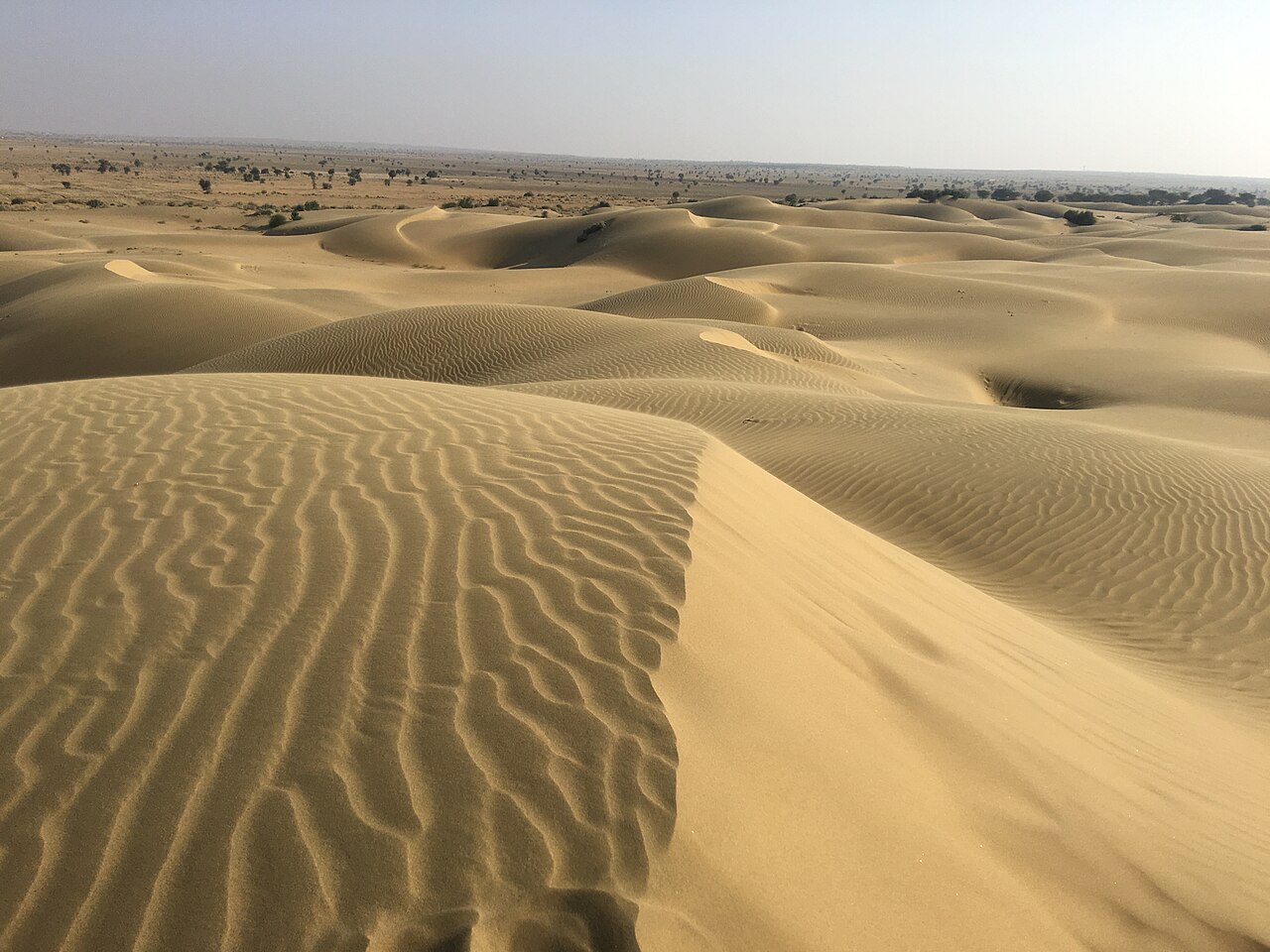Wind-shaped sand dunes at Sam near Jaisalmer