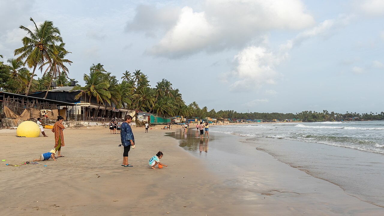 Palm trees and visitors along Palolem Beach