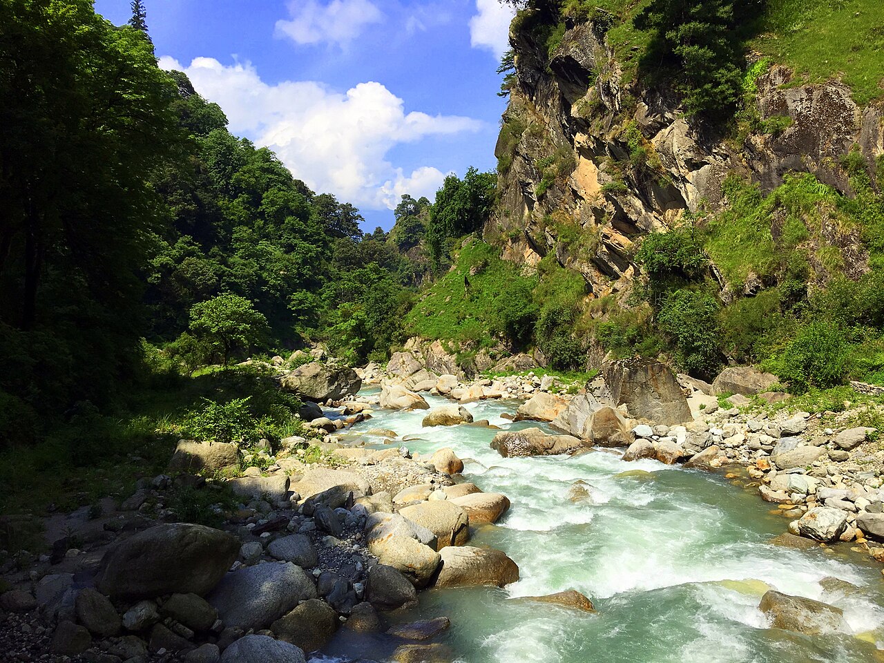 Tirthan River flowing between forested slopes and rocks